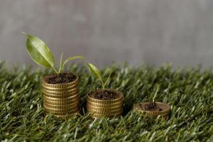 Leia mais sobre o artigo Alienação fiduciária no crédito rural: solução ou problema?